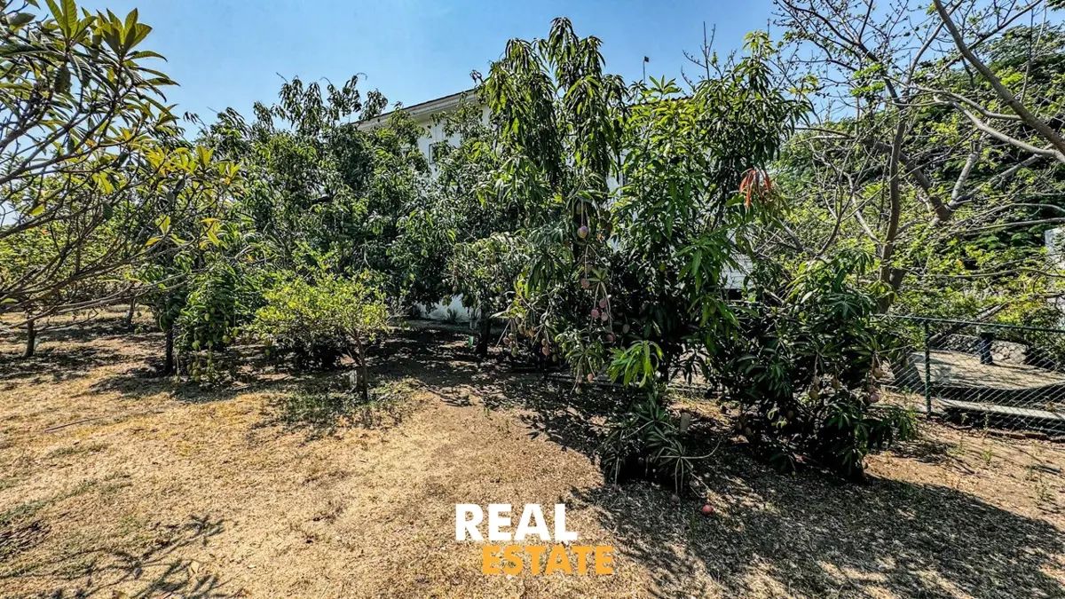 Casa en Suchitlan, Comala, foto 24