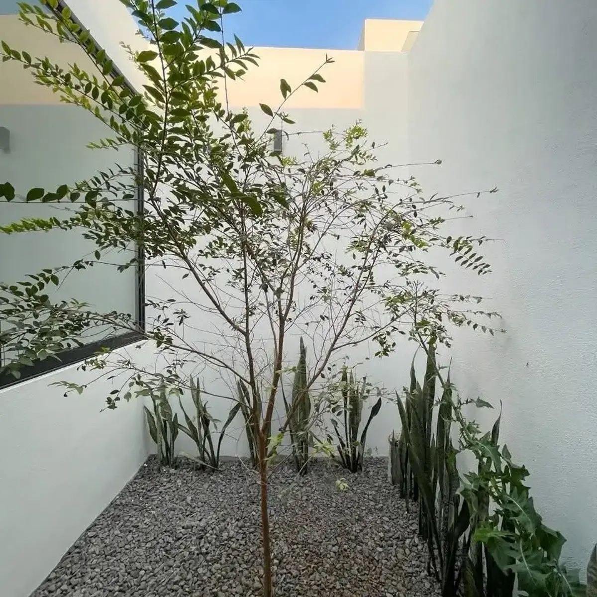 Casa en Punto Rioja, Colima, foto 8